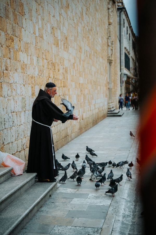Feeding the pigeons