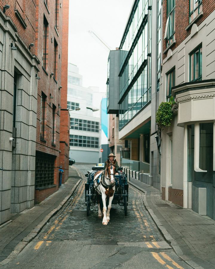 Horse and carriage, Dublin street